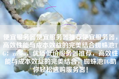 便宜服务器便宜服务器推荐便宜服务器，高效性能与成本效益的完美结合蜘蛛池TG：zzcseo，优质低价服务器推荐，高效性能与成本效益的完美结合，蜘蛛池TG助你轻松选购服务器！