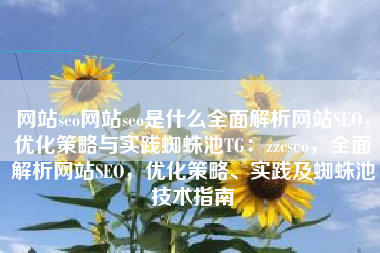 网站seo网站seo是什么全面解析网站SEO，优化策略与实践蜘蛛池TG：zzcseo，全面解析网站SEO，优化策略、实践及蜘蛛池技术指南