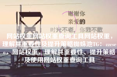 网站权重网站权重查询工具网站权重，理解其重要性及提升策略蜘蛛池TG：zzcseo，网站权重，理解其重要性、提升策略及使用网站权重查询工具