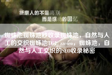 蜘蛛池蜘蛛池秒收录蜘蛛池，自然与人工的交织蜘蛛池TG：zzcseo，蜘蛛池，自然与人工交织的SEO收录秘密