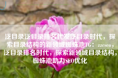 泛目录泛目录排名代发泛目录时代，探索目录结构的新领域蜘蛛池TG：zzcseo，泛目录排名时代，探索新领域目录结构，蜘蛛池助力SEO优化
