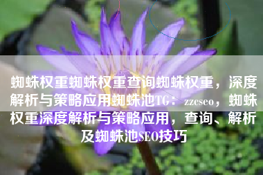 蜘蛛权重蜘蛛权重查询蜘蛛权重，深度解析与策略应用蜘蛛池TG：zzcseo，蜘蛛权重深度解析与策略应用，查询、解析及蜘蛛池SEO技巧