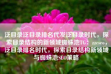泛目录泛目录排名代发泛目录时代，探索目录结构的新领域蜘蛛池TG：zzcseo，泛目录排名时代，探索目录结构新领域与蜘蛛池SEO策略