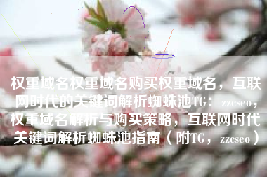 权重域名权重域名购买权重域名，互联网时代的关键词解析蜘蛛池TG：zzcseo，权重域名解析与购买策略，互联网时代关键词解析蜘蛛池指南（附TG，zzcseo）
