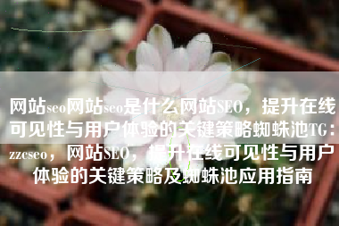 网站seo网站seo是什么网站SEO，提升在线可见性与用户体验的关键策略蜘蛛池TG：zzcseo，网站SEO，提升在线可见性与用户体验的关键策略及蜘蛛池应用指南