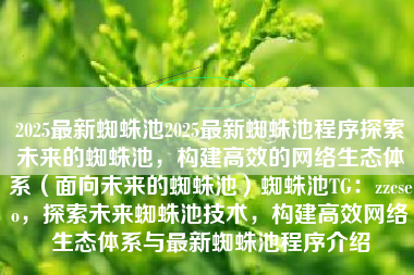 2025最新蜘蛛池2025最新蜘蛛池程序探索未来的蜘蛛池，构建高效的网络生态体系（面向未来的蜘蛛池）蜘蛛池TG：zzcseo，探索未来蜘蛛池技术，构建高效网络生态体系与最新蜘蛛池程序介绍