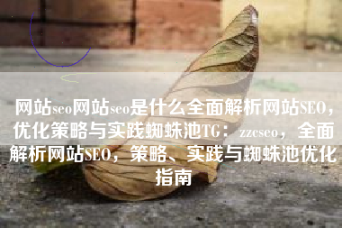 网站seo网站seo是什么全面解析网站SEO，优化策略与实践蜘蛛池TG：zzcseo，全面解析网站SEO，策略、实践与蜘蛛池优化指南