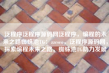 泛程序泛程序源码网泛程序，编程的未来之路蜘蛛池TG：zzcseo，泛程序源码网，探索编程未来之路，蜘蛛池TG助力发展