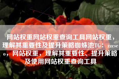 网站权重网站权重查询工具网站权重，理解其重要性及提升策略蜘蛛池TG：zzcseo，网站权重，理解其重要性、提升策略及使用网站权重查询工具
