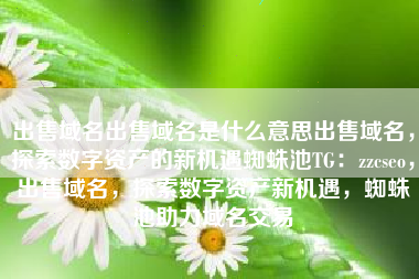 出售域名出售域名是什么意思出售域名，探索数字资产的新机遇蜘蛛池TG：zzcseo，出售域名，探索数字资产新机遇，蜘蛛池助力域名交易