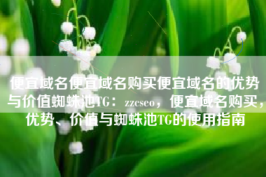 便宜域名便宜域名购买便宜域名的优势与价值蜘蛛池TG：zzcseo，便宜域名购买，优势、价值与蜘蛛池TG的使用指南
