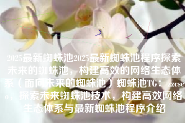 2025最新蜘蛛池2025最新蜘蛛池程序探索未来的蜘蛛池，构建高效的网络生态体系（面向未来的蜘蛛池）蜘蛛池TG：zzcseo，探索未来蜘蛛池技术，构建高效网络生态体系与最新蜘蛛池程序介绍