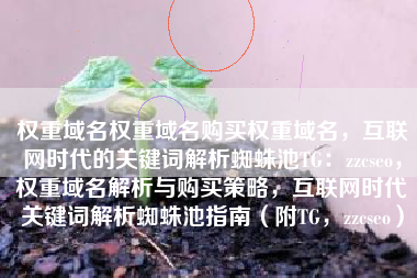 权重域名权重域名购买权重域名，互联网时代的关键词解析蜘蛛池TG：zzcseo，权重域名解析与购买策略，互联网时代关键词解析蜘蛛池指南（附TG，zzcseo）