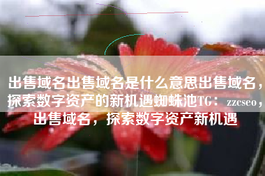 出售域名出售域名是什么意思出售域名，探索数字资产的新机遇蜘蛛池TG：zzcseo，出售域名，探索数字资产新机遇