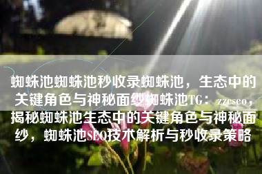 蜘蛛池蜘蛛池秒收录蜘蛛池，生态中的关键角色与神秘面纱蜘蛛池TG：zzcseo，揭秘蜘蛛池生态中的关键角色与神秘面纱，蜘蛛池SEO技术解析与秒收录策略
