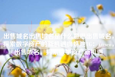 出售域名出售域名是什么意思出售域名，探索数字资产的新机遇蜘蛛池TG：zzcseo，出售域名，探索数字资产新机遇