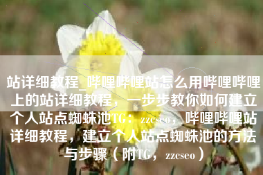 站详细教程_哔哩哔哩站怎么用哔哩哔哩上的站详细教程，一步步教你如何建立个人站点蜘蛛池TG：zzcseo，哔哩哔哩站详细教程，建立个人站点蜘蛛池的方法与步骤（附TG，zzcseo）