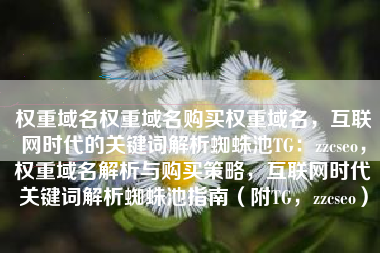 权重域名权重域名购买权重域名，互联网时代的关键词解析蜘蛛池TG：zzcseo，权重域名解析与购买策略，互联网时代关键词解析蜘蛛池指南（附TG，zzcseo）