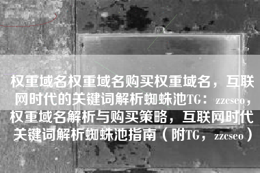 权重域名权重域名购买权重域名，互联网时代的关键词解析蜘蛛池TG：zzcseo，权重域名解析与购买策略，互联网时代关键词解析蜘蛛池指南（附TG，zzcseo）