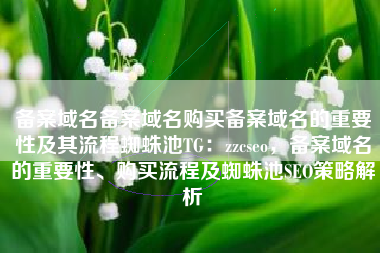 备案域名备案域名购买备案域名的重要性及其流程蜘蛛池TG：zzcseo，备案域名的重要性、购买流程及蜘蛛池SEO策略解析