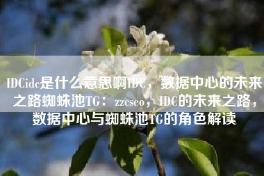 IDCidc是什么意思啊IDC，数据中心的未来之路蜘蛛池TG：zzcseo，IDC的未来之路，数据中心与蜘蛛池TG的角色解读
