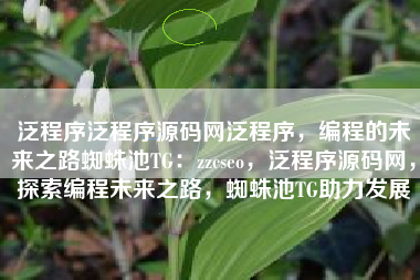 泛程序泛程序源码网泛程序，编程的未来之路蜘蛛池TG：zzcseo，泛程序源码网，探索编程未来之路，蜘蛛池TG助力发展