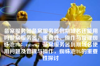 备案服务器备案服务器到期域名还能用吗备案服务器，重要性、操作与管理蜘蛛池TG：zzcseo，备案服务器到期域名使用问题及管理与操作，蜘蛛池TG的重要性探讨