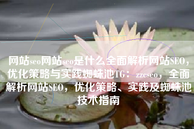 网站seo网站seo是什么全面解析网站SEO，优化策略与实践蜘蛛池TG：zzcseo，全面解析网站SEO，优化策略、实践及蜘蛛池技术指南