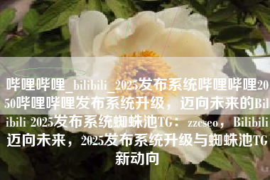 哔哩哔哩_bilibili_2025发布系统哔哩哔哩2050哔哩哔哩发布系统升级，迈向未来的Bilibili 2025发布系统蜘蛛池TG：zzcseo，Bilibili迈向未来，2025发布系统升级与蜘蛛池TG新动向