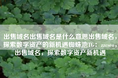 出售域名出售域名是什么意思出售域名，探索数字资产的新机遇蜘蛛池TG：zzcseo，出售域名，探索数字资产新机遇