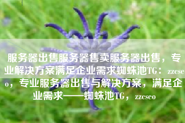 服务器出售服务器售卖服务器出售，专业解决方案满足企业需求蜘蛛池TG：zzcseo，专业服务器出售与解决方案，满足企业需求——蜘蛛池TG，zzcseo