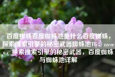 百度蜘蛛百度蜘蛛池是什么百度蜘蛛，探索搜索引擎的秘密武器蜘蛛池TG：zzcseo，探索搜索引擎的秘密武器，百度蜘蛛与蜘蛛池详解
