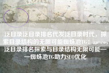 泛目录泛目录排名代发泛目录时代，探索目录结构的无限可能蜘蛛池TG：zzcseo，泛目录排名探索与目录结构无限可能——蜘蛛池TG助力SEO优化