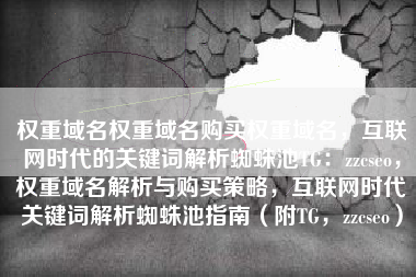 权重域名权重域名购买权重域名，互联网时代的关键词解析蜘蛛池TG：zzcseo，权重域名解析与购买策略，互联网时代关键词解析蜘蛛池指南（附TG，zzcseo）