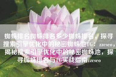 蜘蛛排名蜘蛛排名多少蜘蛛排名，探寻搜索引擎优化中的秘密蜘蛛池TG：zzcseo，揭秘搜索引擎优化中的秘密蜘蛛池，探寻蜘蛛排名与TG实战指南zzcseo