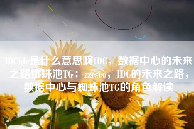 IDCidc是什么意思啊IDC，数据中心的未来之路蜘蛛池TG：zzcseo，IDC的未来之路，数据中心与蜘蛛池TG的角色解读