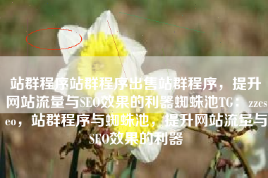 站群程序站群程序出售站群程序，提升网站流量与SEO效果的利器蜘蛛池TG：zzcseo，站群程序与蜘蛛池，提升网站流量与SEO效果的利器