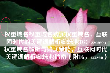 权重域名权重域名购买权重域名，互联网时代的关键词解析蜘蛛池TG：zzcseo，权重域名解析与购买策略，互联网时代关键词解析蜘蛛池指南（附TG，zzcseo）