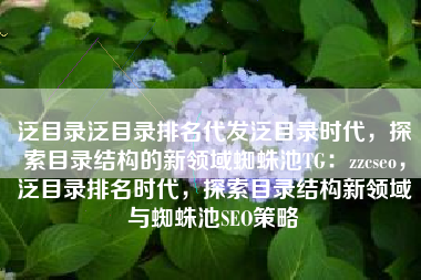 泛目录泛目录排名代发泛目录时代，探索目录结构的新领域蜘蛛池TG：zzcseo，泛目录排名时代，探索目录结构新领域与蜘蛛池SEO策略