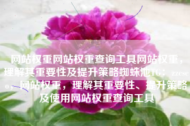 网站权重网站权重查询工具网站权重，理解其重要性及提升策略蜘蛛池TG：zzcseo，网站权重，理解其重要性、提升策略及使用网站权重查询工具