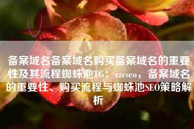 备案域名备案域名购买备案域名的重要性及其流程蜘蛛池TG：zzcseo，备案域名的重要性、购买流程与蜘蛛池SEO策略解析