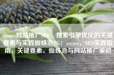 seoseo网站推广SEO，搜索引擎优化的关键要素与实践蜘蛛池TG：zzcseo，SEO实践指南，关键要素、蜘蛛池与网站推广策略