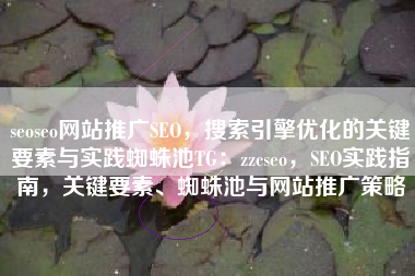 seoseo网站推广SEO，搜索引擎优化的关键要素与实践蜘蛛池TG：zzcseo，SEO实践指南，关键要素、蜘蛛池与网站推广策略