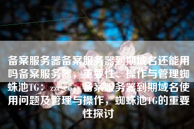 备案服务器备案服务器到期域名还能用吗备案服务器，重要性、操作与管理蜘蛛池TG：zzcseo，备案服务器到期域名使用问题及管理与操作，蜘蛛池TG的重要性探讨