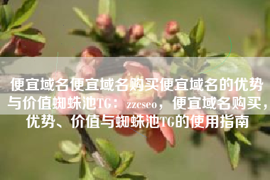 便宜域名便宜域名购买便宜域名的优势与价值蜘蛛池TG：zzcseo，便宜域名购买，优势、价值与蜘蛛池TG的使用指南