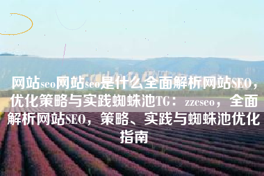 网站seo网站seo是什么全面解析网站SEO，优化策略与实践蜘蛛池TG：zzcseo，全面解析网站SEO，策略、实践与蜘蛛池优化指南