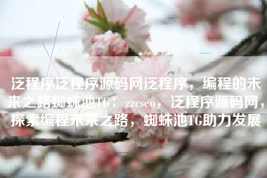 泛程序泛程序源码网泛程序，编程的未来之路蜘蛛池TG：zzcseo，泛程序源码网，探索编程未来之路，蜘蛛池TG助力发展