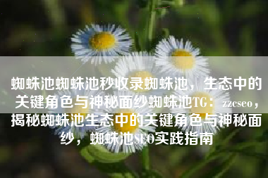 蜘蛛池蜘蛛池秒收录蜘蛛池，生态中的关键角色与神秘面纱蜘蛛池TG：zzcseo，揭秘蜘蛛池生态中的关键角色与神秘面纱，蜘蛛池SEO实践指南