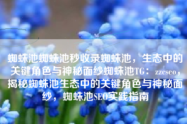 蜘蛛池蜘蛛池秒收录蜘蛛池，生态中的关键角色与神秘面纱蜘蛛池TG：zzcseo，揭秘蜘蛛池生态中的关键角色与神秘面纱，蜘蛛池SEO实践指南