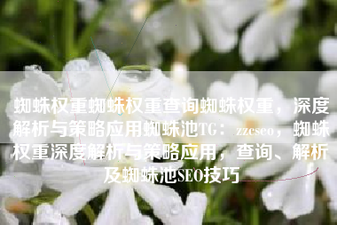 蜘蛛权重蜘蛛权重查询蜘蛛权重，深度解析与策略应用蜘蛛池TG：zzcseo，蜘蛛权重深度解析与策略应用，查询、解析及蜘蛛池SEO技巧